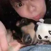 ぺろこネェさん☆の画像
