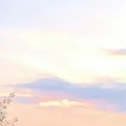 cocoの画像