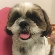 あきら