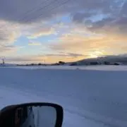 ちーの画像