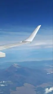 わんた