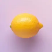 キウイの画像
