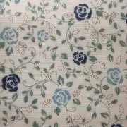 Blue Roseの画像