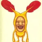 ホトケアカバネ