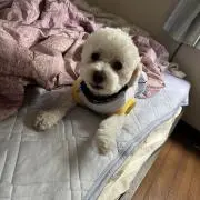 【期間限定！】全品値下げ中！！の画像