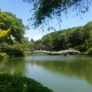 リシュ=ヒッキーの画像