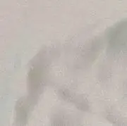 @nuno (日曜日発送です)の画像