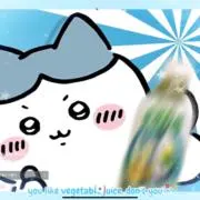 にゃんぼの画像