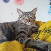 ☆39☆の画像