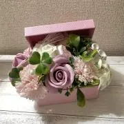 KR-Mamaの画像
