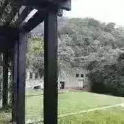 zioの画像