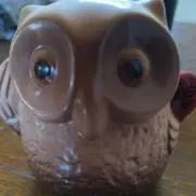 フクロウの画像