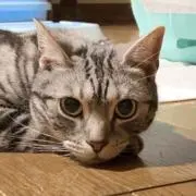 hirohicchanchan
