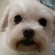 mayukomrの画像