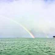 りんの画像
