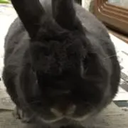 おつん