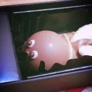 ゆずの画像