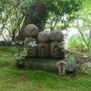 しおんの画像