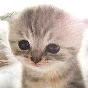 にこにこ310