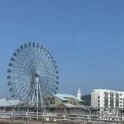 ナツの画像