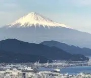 miniの画像