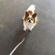せんちゃん*気軽にご質問ください*の画像