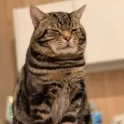 バム