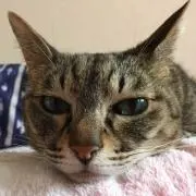 じゅに