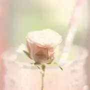 ゆっきの画像
