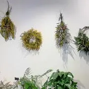 すず