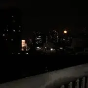 hanの画像