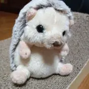 はむねえの画像
