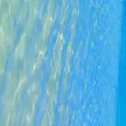 名無しの画像
