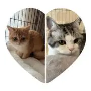 mm【SALE】開催中*ˊᵕˋ)੭の画像