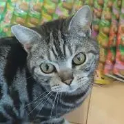るいの画像