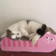 おむれつ