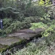 紋次郎