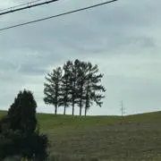 mkの画像