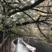にか