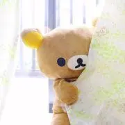 くまくま＊