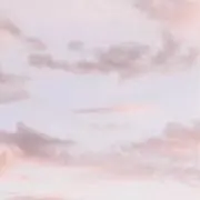 Rの画像