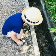 Rの画像