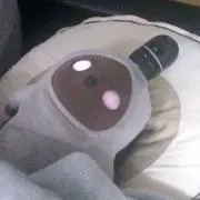 のえにゃあの画像