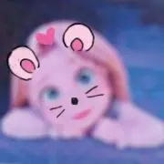 ラプの画像
