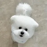 ☆の画像