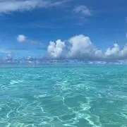mamの画像