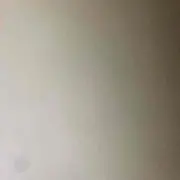 とり