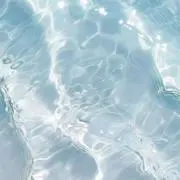 ebiの画像