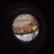 ぶい