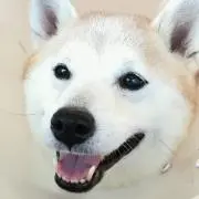 ねむ